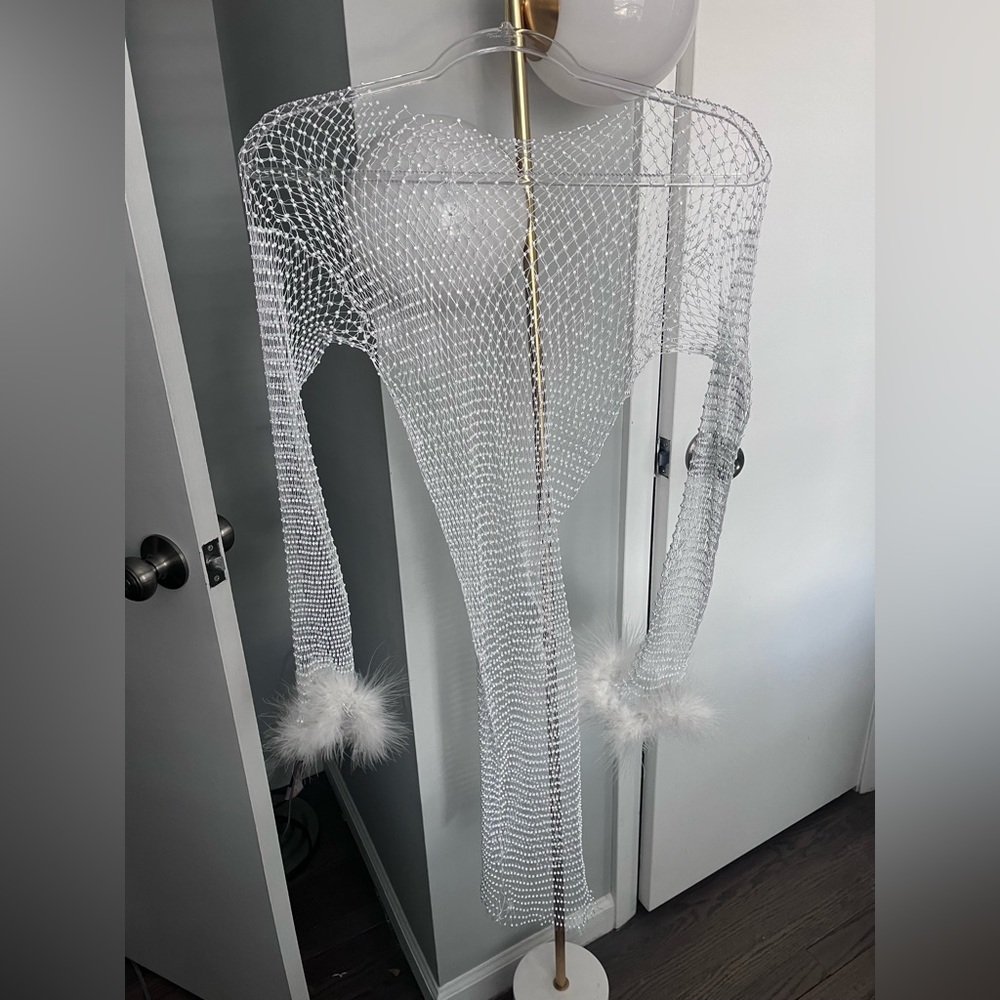 Mesh Dress with Feather Sleeve